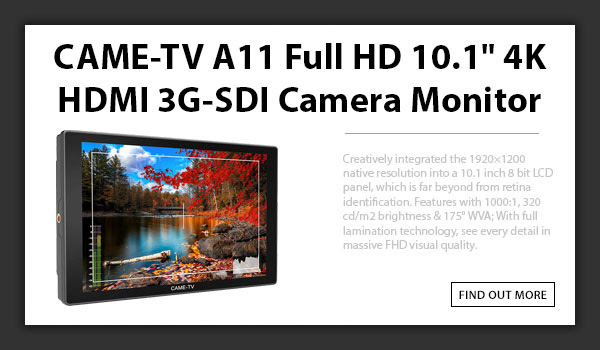 CTV A11 Full HD Monitor