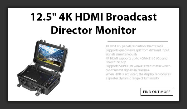 CTV 12.5 4k HDMI Director Monitor