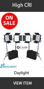 CAME-TV High CRI daylight 4 set Sale
